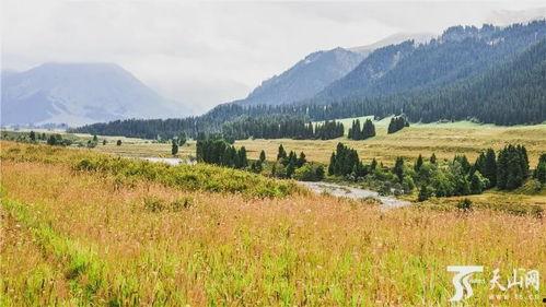 新疆景点爆料事件最新,揭秘神秘角落背后的真实故事 第1张 新疆景点爆料事件最新,揭秘神秘角落背后的真实故事 第1张