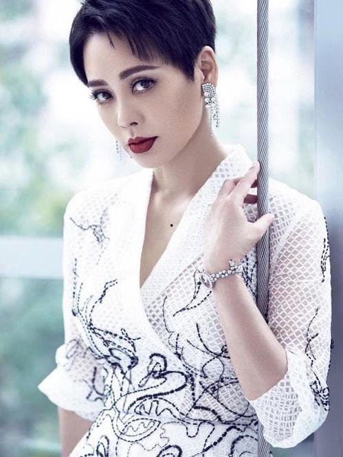 宁静娱乐圈爆料,揭秘明星幕后故事